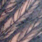 Derick Art 021