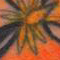 Megan Art 062