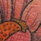 Megan Art 070